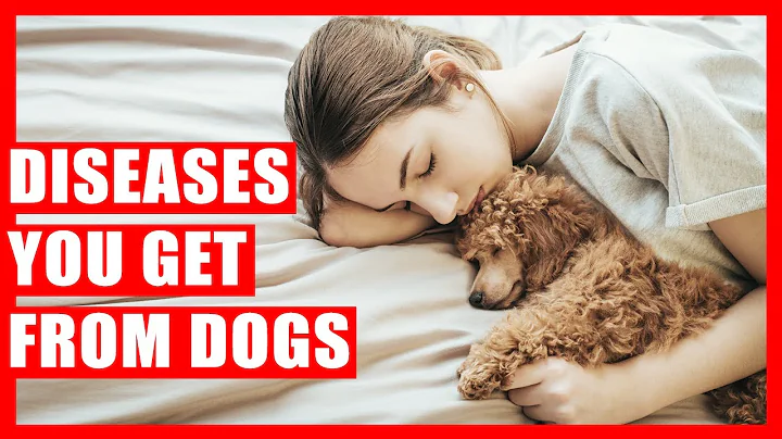 10 Diseases You Can Get if You Sleep with Dogs