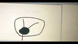 Oscar & Otto   Groundhog Dinner