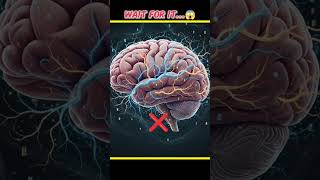 The brain's biggest mystery! 🧠🤯 #shorts