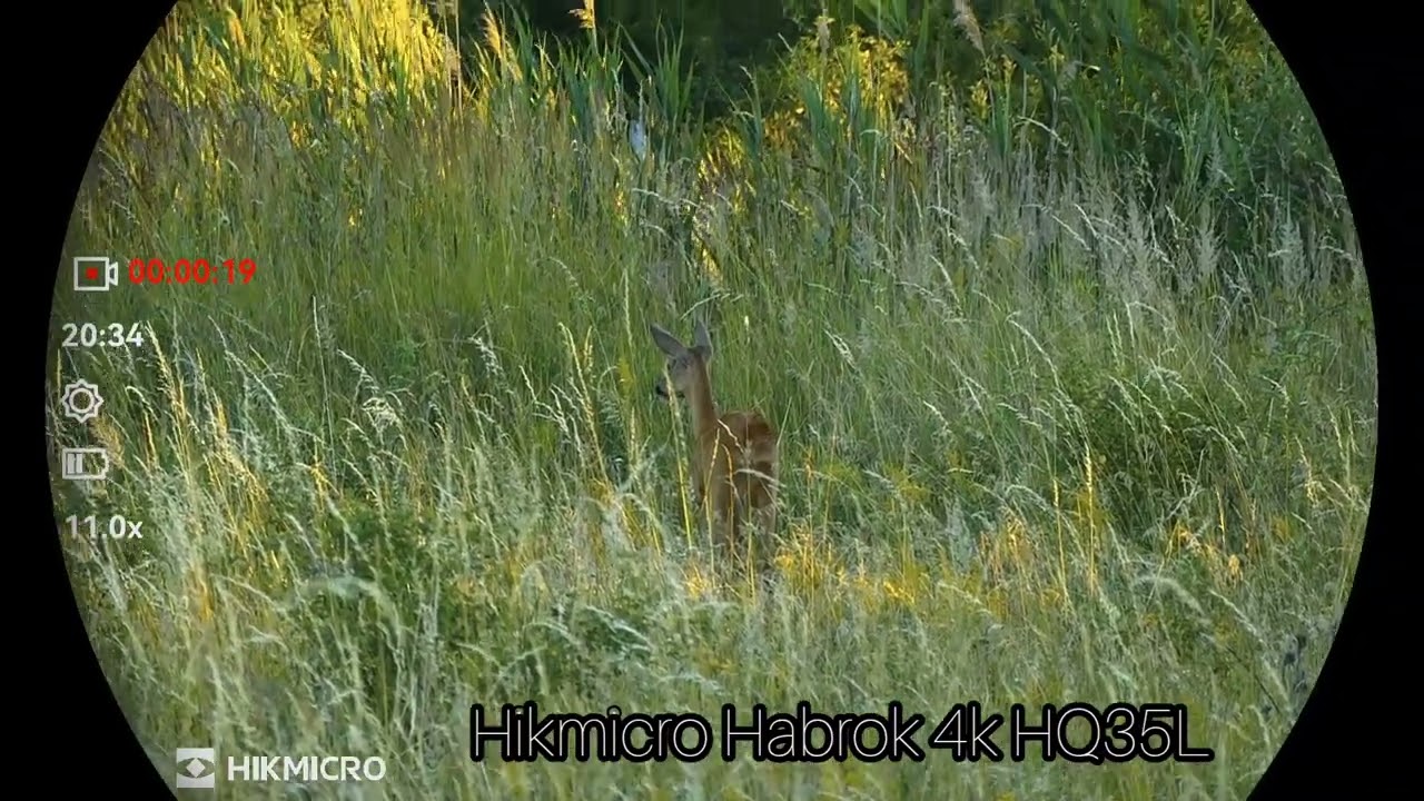 Hikmicro Habrok 4k HQ35L