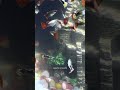 Guppy fish so beautiful