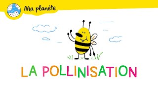La pollinisation expliquée aux enfants - Ma Planète #13