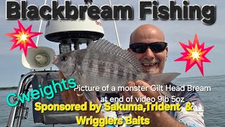 Solent Bream Fishing Small Boat Fishing Uk Wrasse Fishing Gilt Head Bream Raymarine Garmin UK