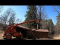 Pushing a tree down with a Telehandler