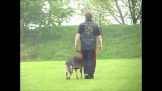 Sita Van Hamersslag Vzh Examen 45 Pnt