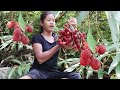 Survival in Rainforest: Found and Pick Natural sour fruit for Food - Sour fruit & Eating delicious