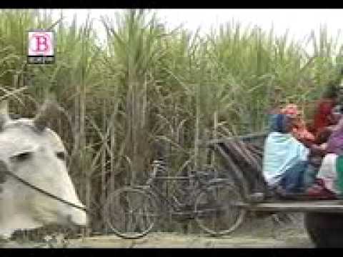 Sohar Song