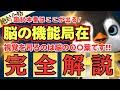 【必須】大脳の機能で「試験に出るポイント」だけを徹底解説します！【第37回介護福祉士国家試験対策】