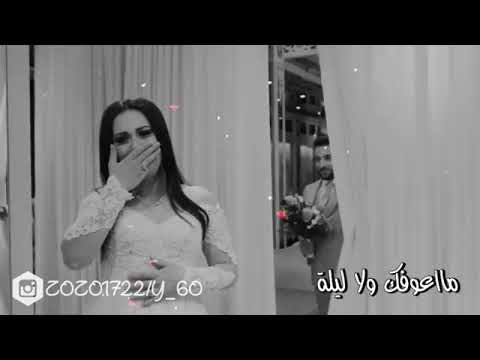 دگ صدرك وكلي وياك ماعوفك ولا ليلة