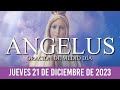 Ángelus de Hoy JUEVES 21 DE DICIEMBRE DE 2023 ORACIÓN DE MEDIODÍA