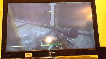 Dogmeat is a synth XD