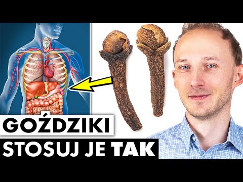 Wideo: Jedź ze zwierzętami? 6 porad dotyczących utrzymania samochodu w czystości i bez zapachu