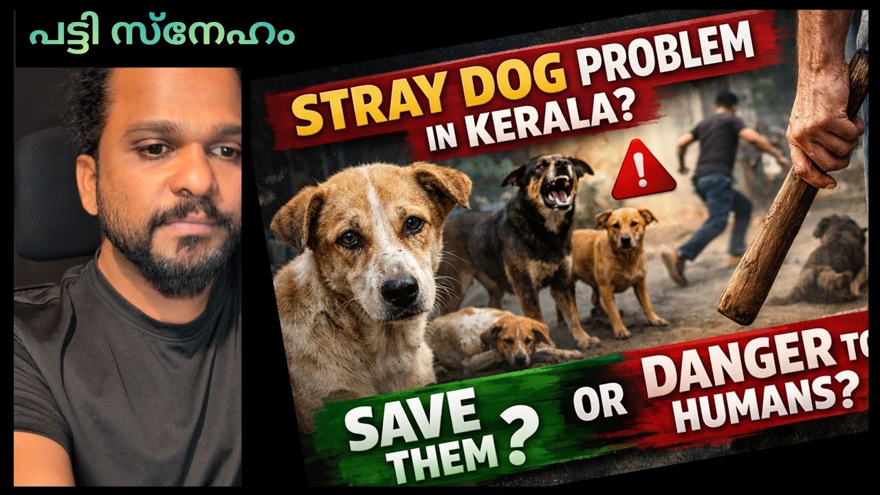 പട്ടി പേടിയിൽ കേരളം 