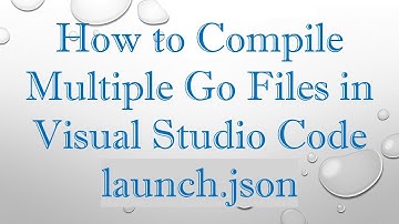 How to Compile Multiple Go Files in Visual Studio Code launch.json
