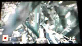 Call of Duty 5 - courtyard tree glitch