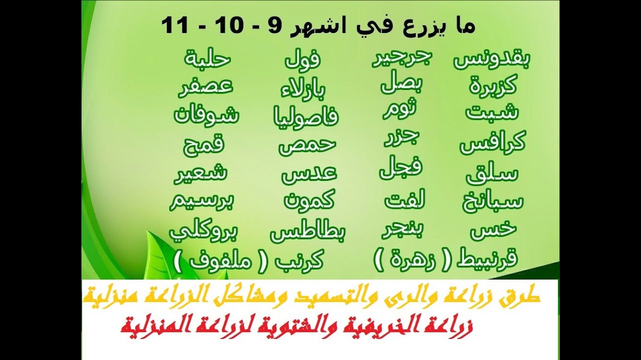 خضروات تزرع بشهور 8و9و10و11 حلقة 351 Youtube