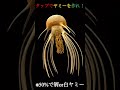 グリード！ヤミー！カンドロイド！また欲望食べたいな！#short #仮面ライダーオーズ