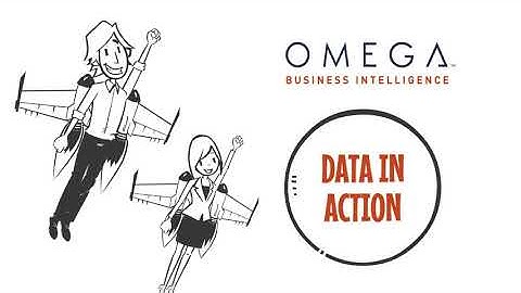 Omega Business Intelligence - Custom Solutions Built For Your Business