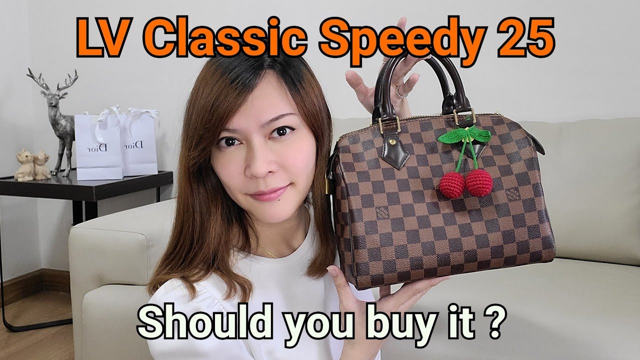 LOUIS VUITTON SPEEDY B20 DAMIER EBENE REVIEW