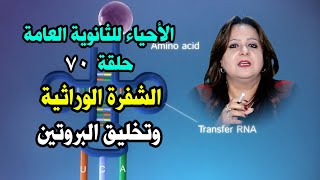 الأحياء للثانوية العامة { 70 } الـشفرة الوراثية وتخليق البروتين