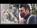 The coronavirus cat rescuer of Wuhan