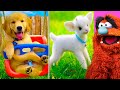 CUTE ANIMALS On TIKTOK That You HAVE To SEE! (AWW)