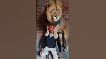 Tutorial lurking lion fliter 😱😈🔥 #viral #lion #tutorial #trend #trending #shorts #filter