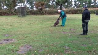 Apportering - Box Unix Amber, Oktober 2016