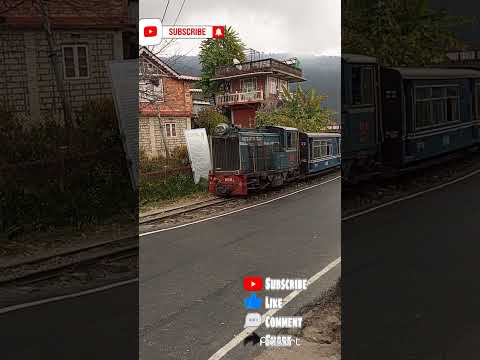 ვიდეო: დარჯილინგის ჰიმალაის რკინიგზის სათამაშო მატარებელი: ძირითადი გზამკვლევი