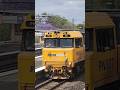 PN007 does some toots as it passes Chelmer. #trains #queenslandrail #shorts