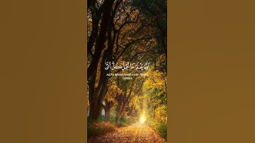 تلاوة خاشعة عبدالباسط عبدالصمد سورة الرعد #تلاوة_خاشعة #عبدالباسط_عبدالصمد #سورة_الرعد