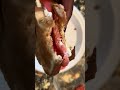 Take A Bite ЁЯШЛ Take A Bite ЁЯШЛ