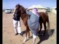 خوش فارس نجومي