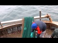 SemprePesce | Pesca a strascico invernale alle seppie e calamari