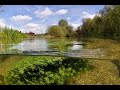 Understanding River Ecology with Pete Lambert