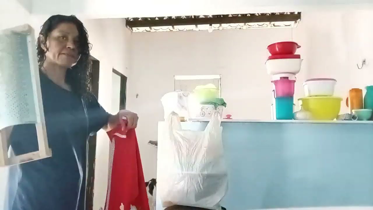 CONTINUO POR CA LIMPANDO E ORGANIZANDO TUDO PARA ME MUDAR | Viviane Patrícia 