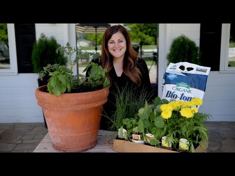 Video: Marigold Plant Companions - Lær om Marigold Companion Planting