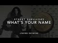 Lynyrd Skynyrd - WHATS YOUR NAME (lyrics / from Street Survivors vinyl LP)