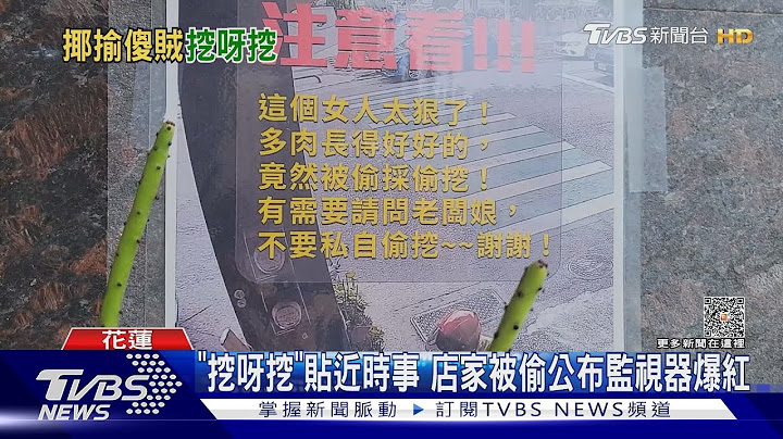 多肉被偷!店家後製影片 網友歪樓敲碗續集｜TVBS新聞 @TVBSNEWS01
