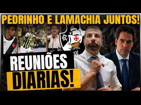 DAILY MEETINGS BETWEEN PEDRINHO AND LAMACHIA REVEALED! VASCO SIGNINGS AND DEPARTURES