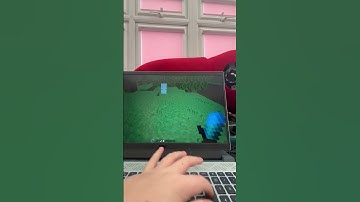 1.7 overflow animations mod  in 1.8.9