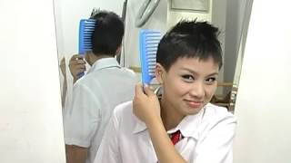Haircutfan Youtube Stats Analytics Dashboard Influenex