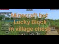 Minecraft but Lucky Block in village chest full video 