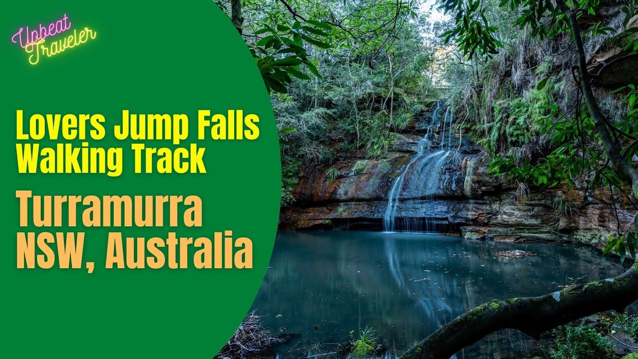 Lovers Jump Falls Walking Track, Turramurra, NSW (4K)