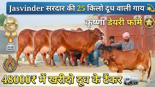 ✨सरदार जी की 3 Champion 🏆Sahiwal 25 किलो दूध गारंटी वाला अच्छी भी 👍सस्ती भी गाय खरीदो गारंटी से 