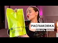 ПОКУПКИ: ЗОЛОТОЕ ЯБЛОКО. MAC, Shik, Influence, Vivienne Sabo, Catrice, Pusy. Свотчи+макияж