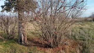 Şəhidlər Ölməz Vətən Bölünməz 17 Июня 2022 Г.