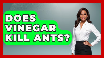 Does Vinegar Kill Ants? - Insects and Invaders