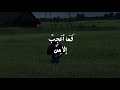 تعب كلها الحياة احمد الوائلي