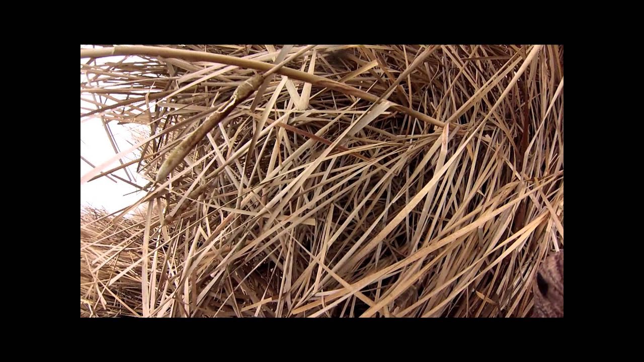 Eagle Lakes duck hunt YouTube